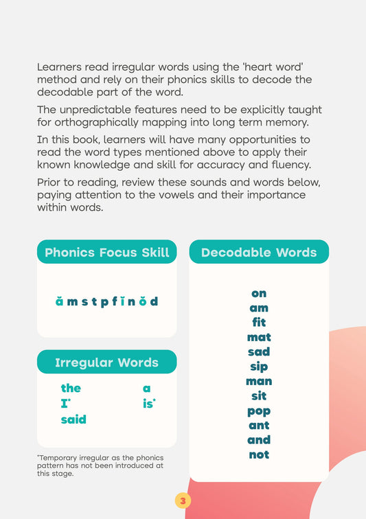 The Ant - Set 1 Book 1 (Letter/Sound Focus - a, m, s, t, p, f, i, n, o, d) My Store