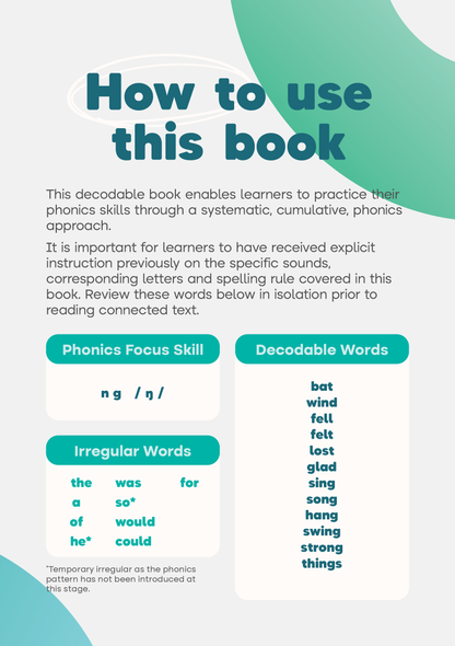 Bing the Bat - Set 5 Book 10 (ng) Innerlinks Decodable Books