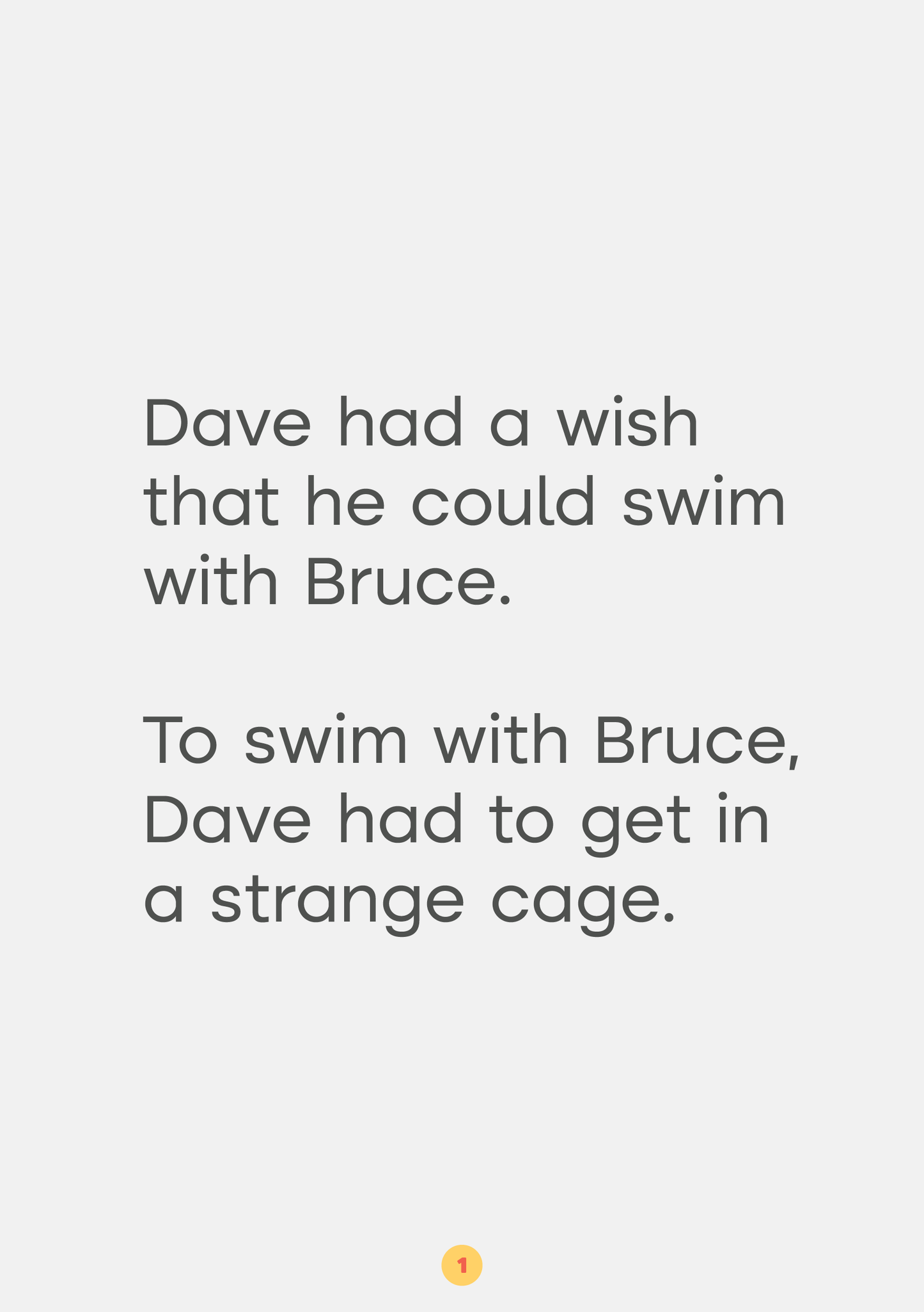 In the Cage | Set 6 Innerlinks Decodable Books